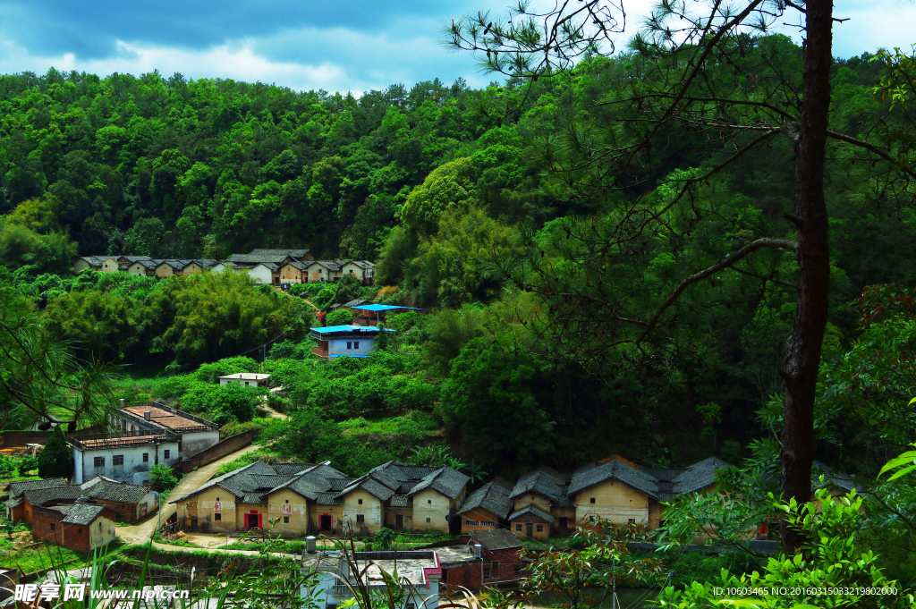 山水建筑 松鹤延年