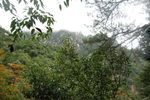 黄山