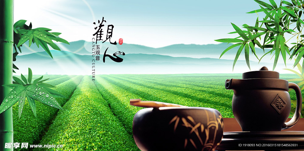 茶叶茶园茶山喝茶
