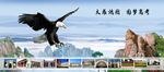 大展鸿图