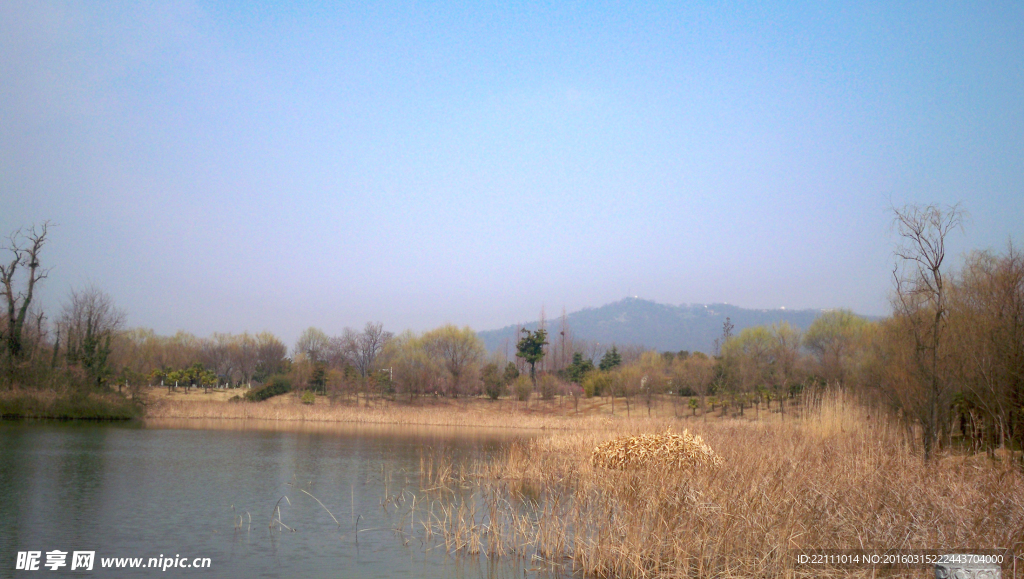 冬季池水