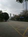 马路黄线