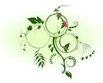 绿色藤蔓花纹