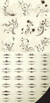 经典花纹