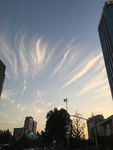 上海的天空