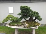 瘦西湖一角