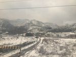千山雪