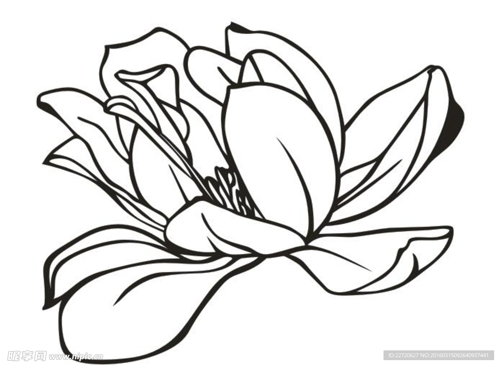 矢量花纹