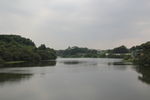 青山绿水