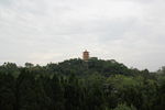塔楼