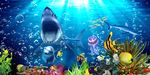 3D海底世界鲨鱼