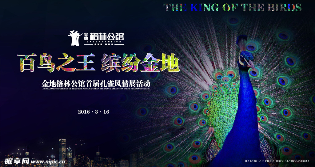 百鸟之王 缤纷金地