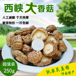 香菇海报