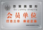 铜牌 会员单位 整形 打击三非