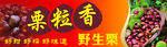 栗子海报