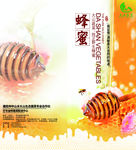 蜂蜜两折页宣传