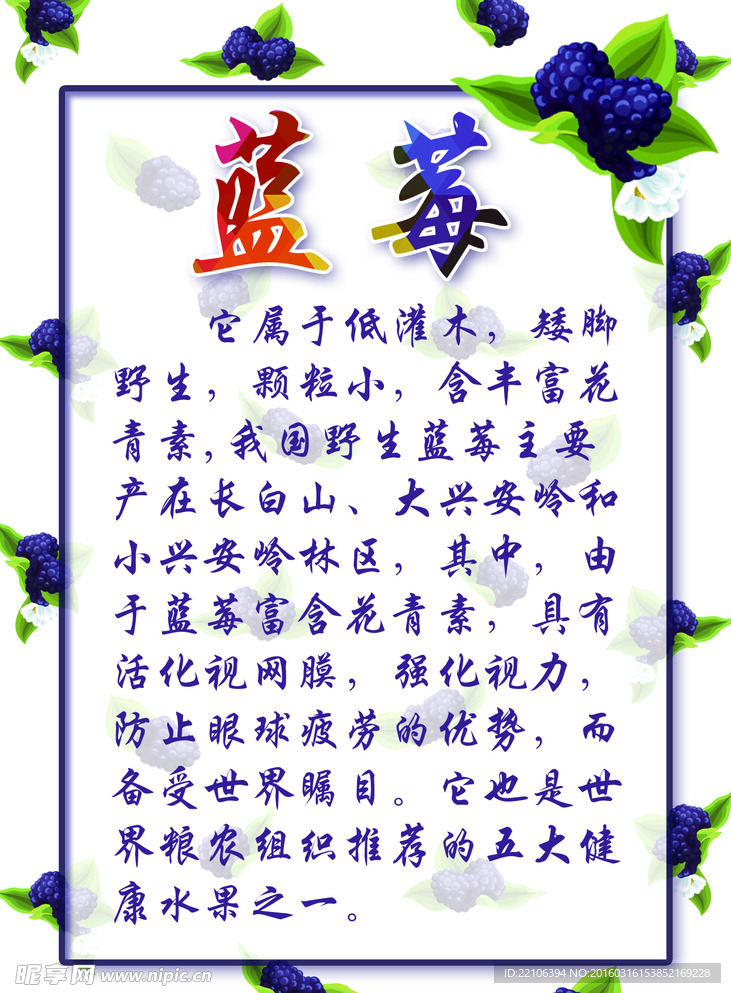 蓝莓