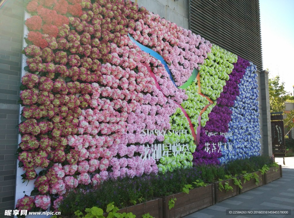 花卉艺术展花墙