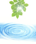水纹