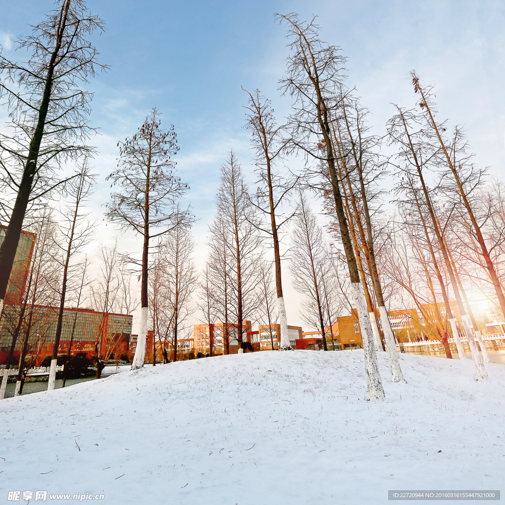 江南校园雪景