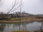 南京琵琶湖 梅花山
