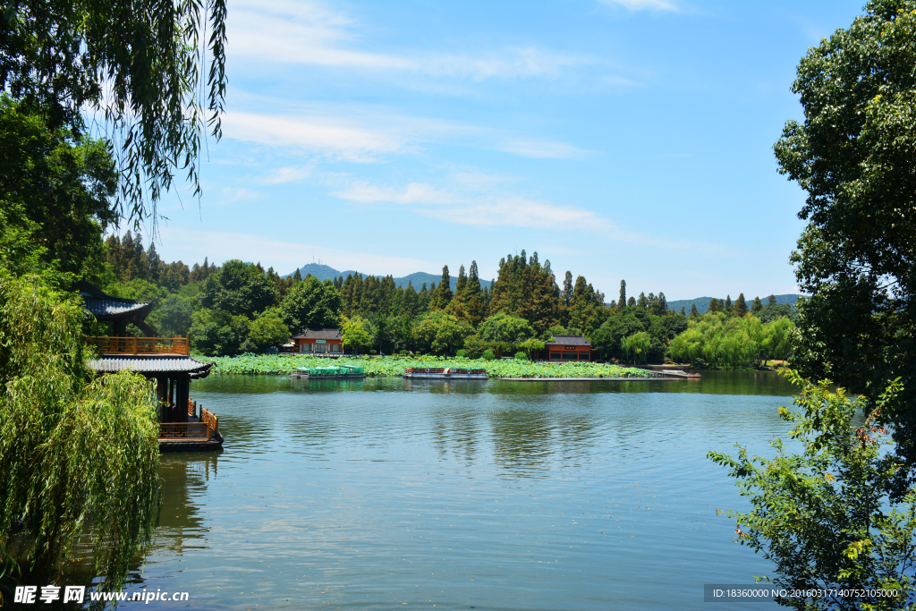 西湖美景