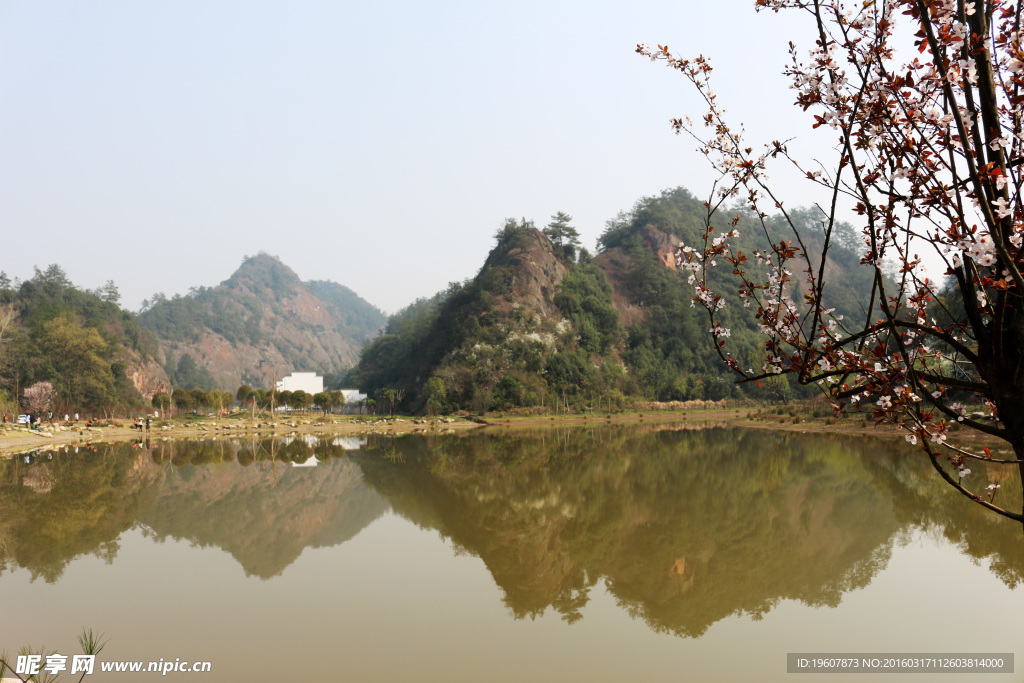金家湾风光