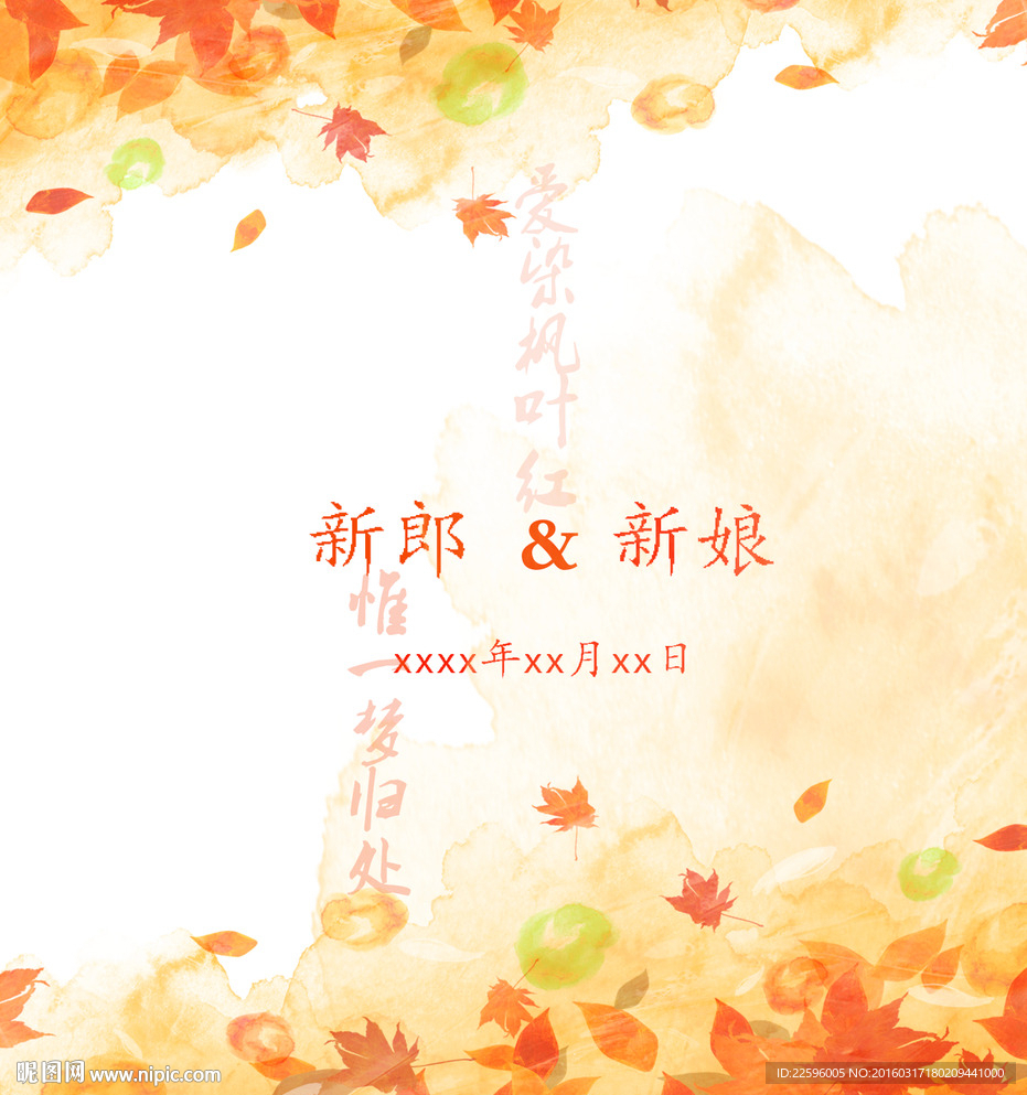 爱染枫叶红 枫叶素材