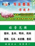 专业兽医