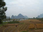 桂林阳朔遇龙河风景