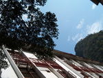 建筑风景