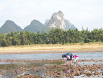 桂林阳朔漓江风景