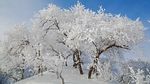 漂亮雪景