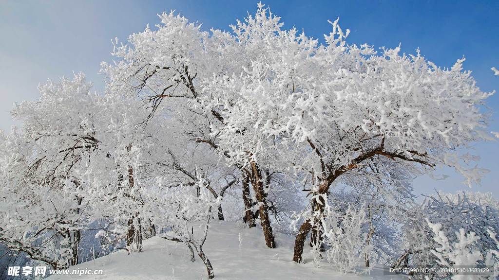 漂亮雪景