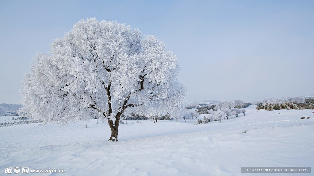 冬日雪景