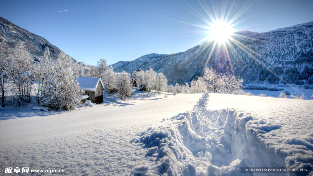 冬日雪景