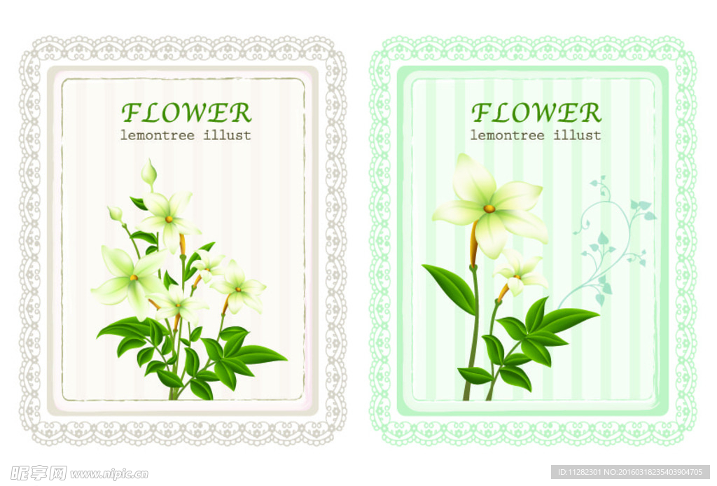 底纹花纹花边素材