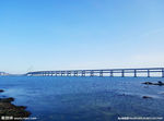 大海