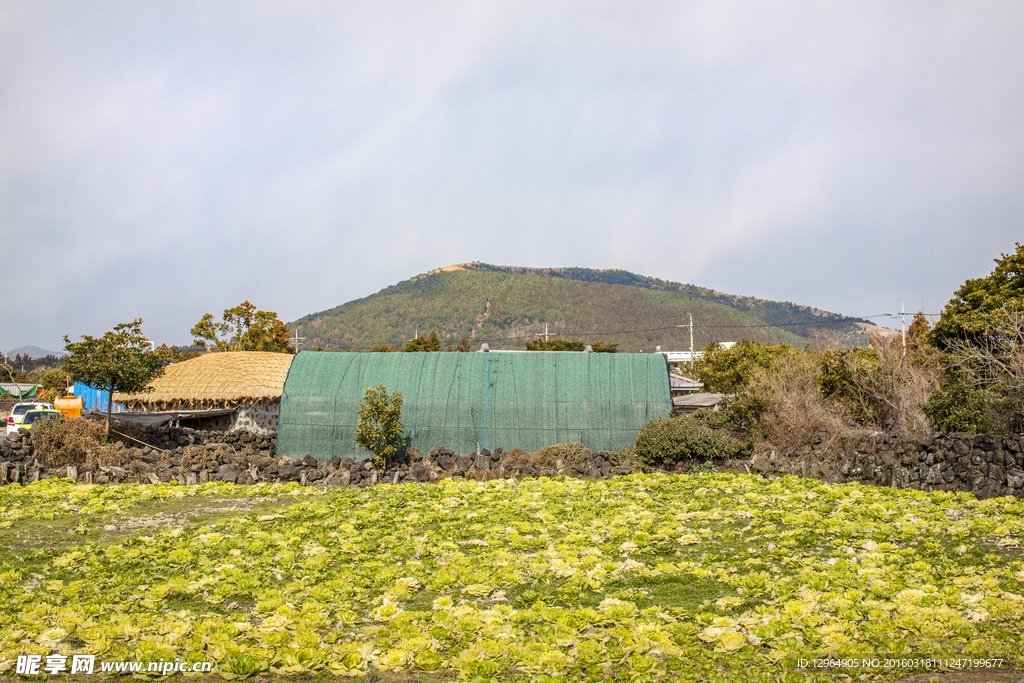 济州岛城邑民俗村