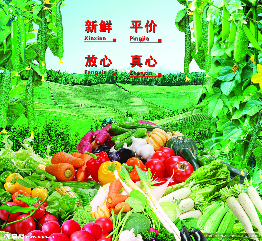 超市蔬菜