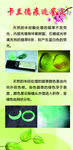 翡翠鉴定