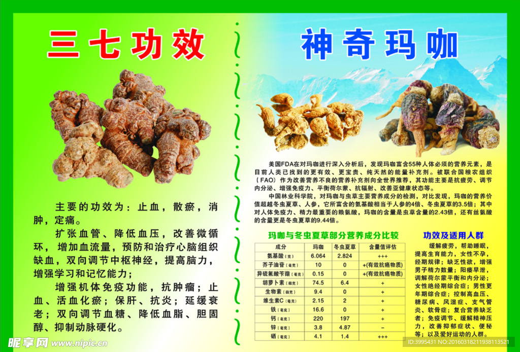 三七玛咖