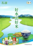 大米主视觉
