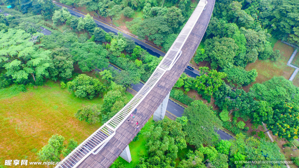 新加坡空中观景栈道