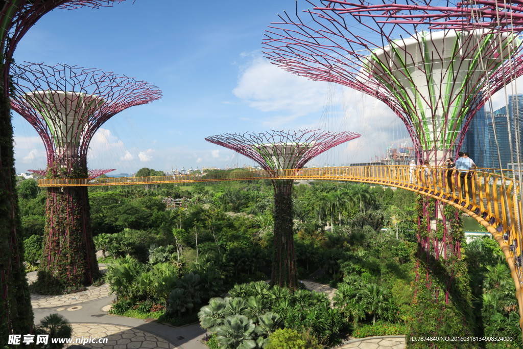新加坡滨海植物园