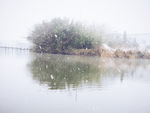雪河