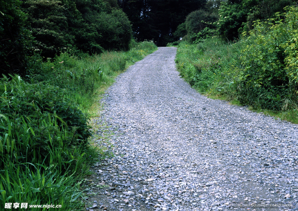 山地石子路素材