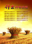 金钱麦子回报