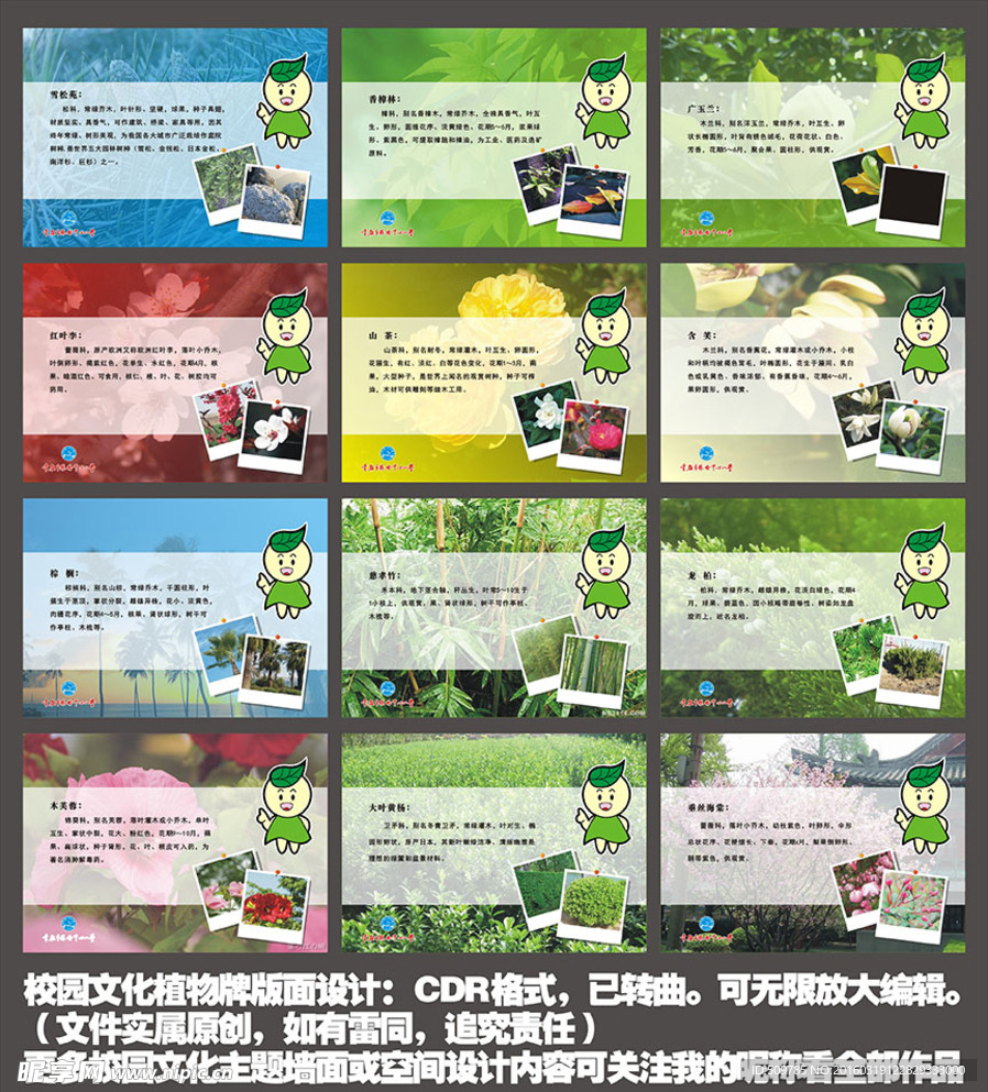 校园文化植物牌版面设计