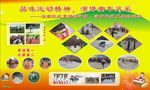 学校趣味运动照片展板